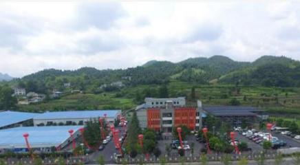 中國魚子醬第一股清江鱘龍漁業(yè)