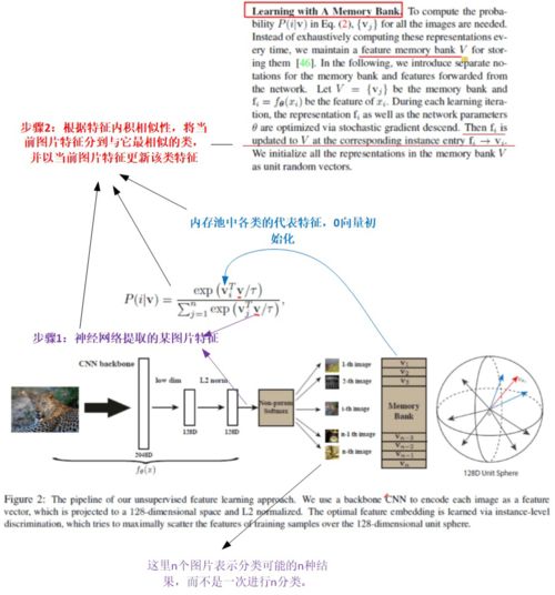 從近年頂會論文看對比學習最新研究進展